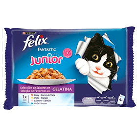 Comida gatos cachorros Felix