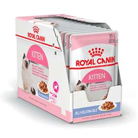 Comida gatos kitten Royal Canin