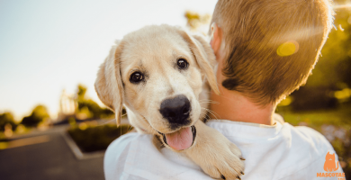 5 señales de que tu perro es feliz