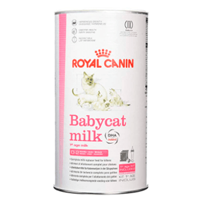 Leche maternizada para gato bebé Royal Canin